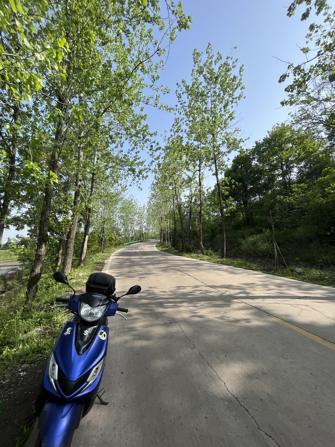  世界摩托车锦标赛 